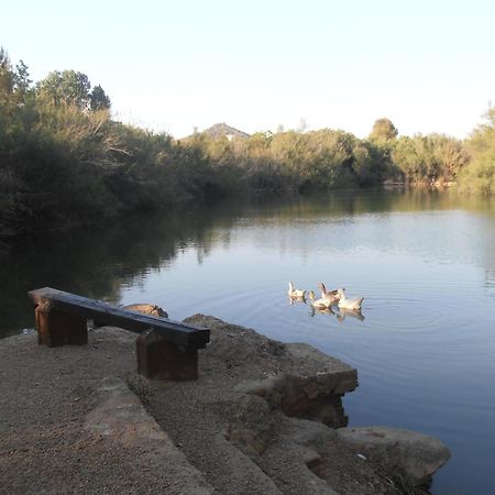 Hotel Oasis Country Park Rugat Zewnętrze zdjęcie