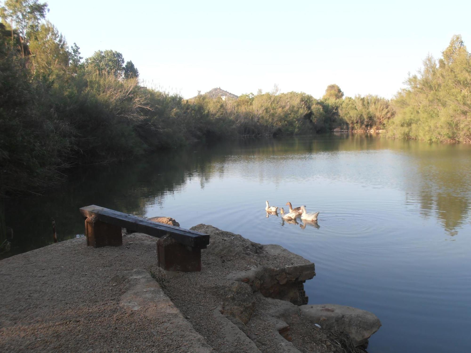 Hotel Oasis Country Park Rugat Zewnętrze zdjęcie