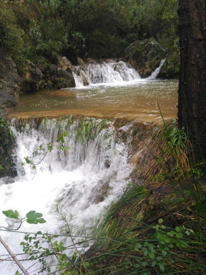 Hotel Oasis Country Park Rugat Zewnętrze zdjęcie